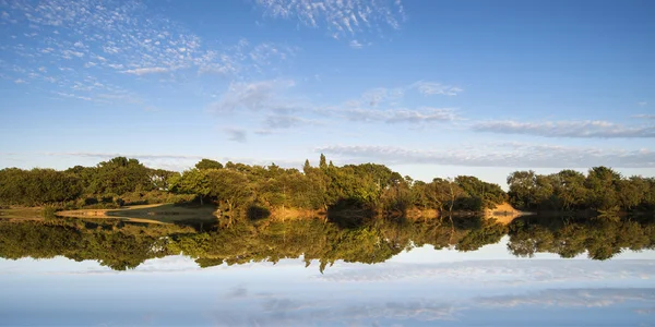 Paesaggio del lago in estate con riflessi chiari — Foto Stock