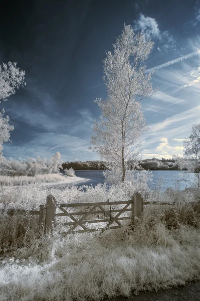 Landscape  in infrared of lake in English countryside in Summer — Stock Photo, Image
