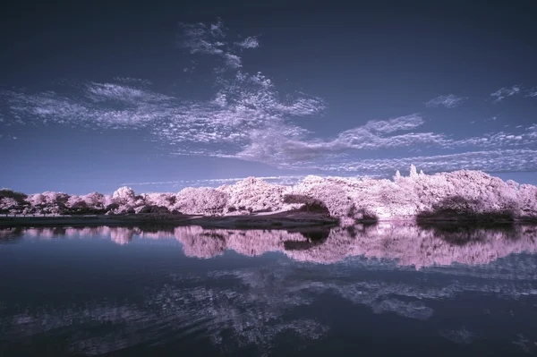 Paisaje infrarrojo del lago en verano — Foto de Stock