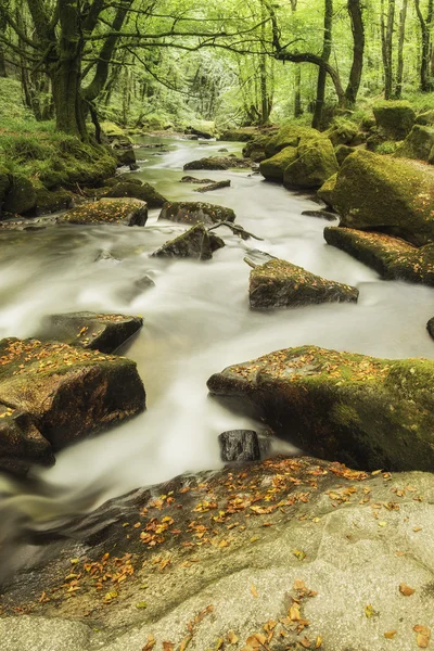 Krásná krajina řeky protékající svěží lesní Golitha — Stock fotografie