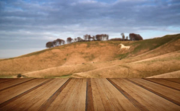 Oude krijt wit paard in landschap met houten planken vloer — Stockfoto