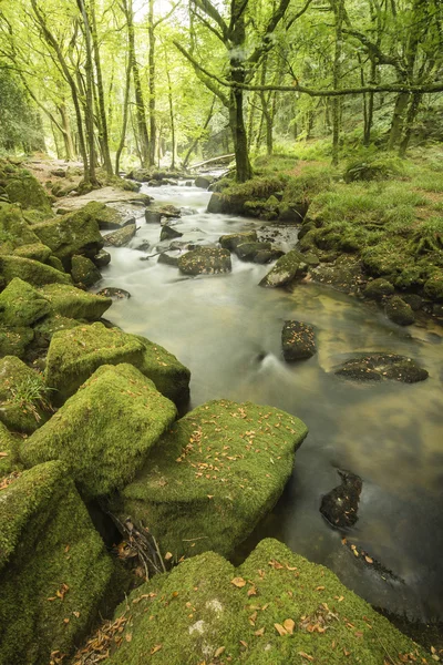 Schöne Landschaft des Flusses fließt durch üppigen Wald Golitha — Stockfoto