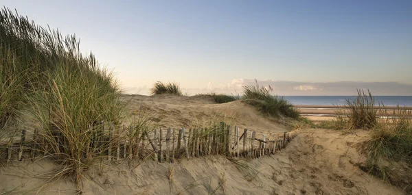 Восход солнца над песчаными дюнами на желтом песке — стоковое фото