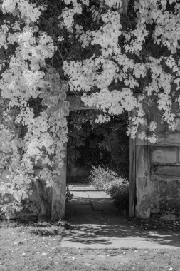 Kapı Kaplama yeşillik güzel siyah ve beyaz peyzaj