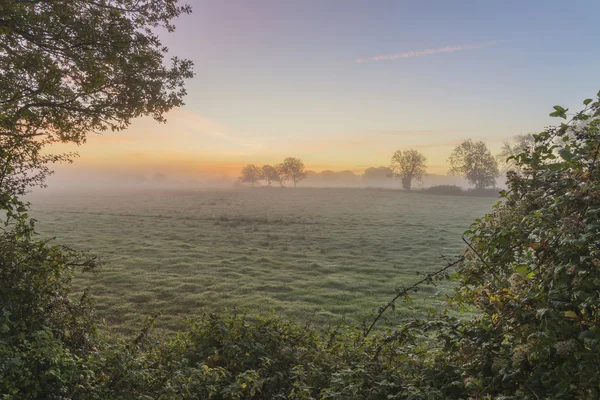 Atemberaubende lebendige Herbst neblig Sonnenaufgang Englisch Landschaft Land — Stockfoto