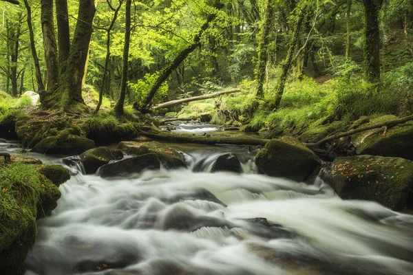 Stunning landscape iamge of river flowing through lush green for — Stock Photo, Image