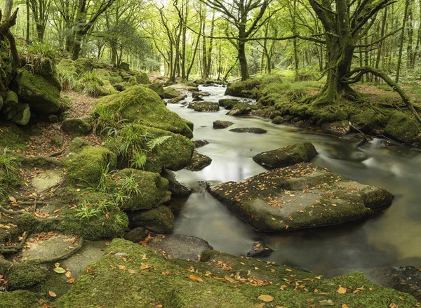 Stunning landscape iamge of river flowing through lush green for — Stock Photo, Image