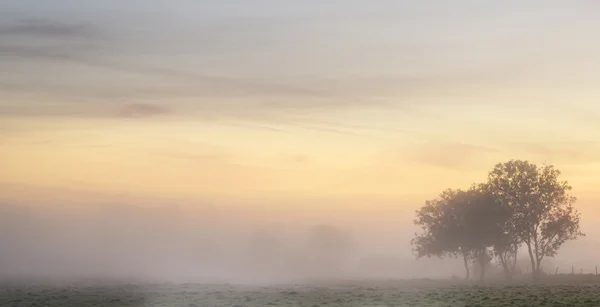令人惊叹的充满活力的秋雾日出英国乡村 landsc — 图库照片