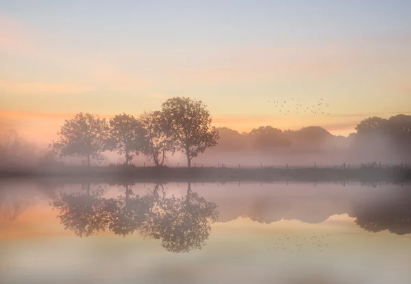 Impressionante vibrante Outono nevoeiro nascer do sol Inglês paisagem landsc — Fotografia de Stock