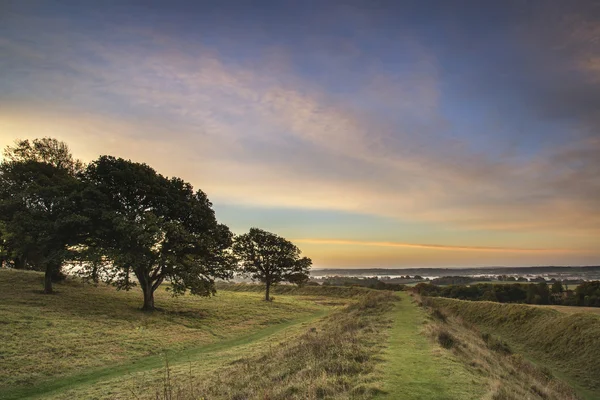 Mooie levendige herfst landschap bos platteland in ochtend — Stockfoto