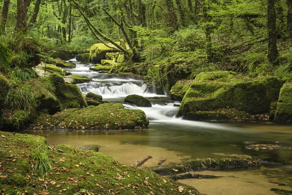 Splendido paesaggio iamge di fiume che scorre attraverso il verde lussureggiante per — Foto Stock