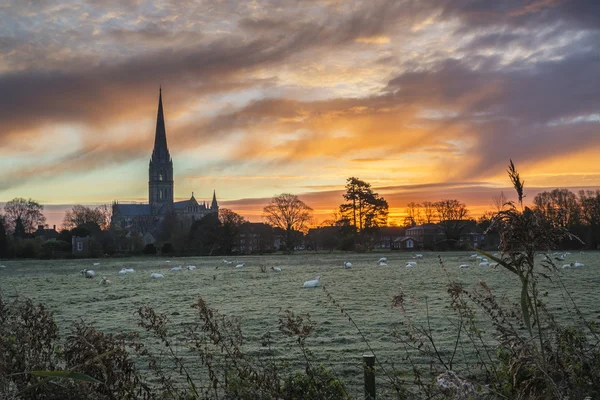 Winter frosty sunrise landscape Salisbury cathedral city in Engl — Stock Photo, Image