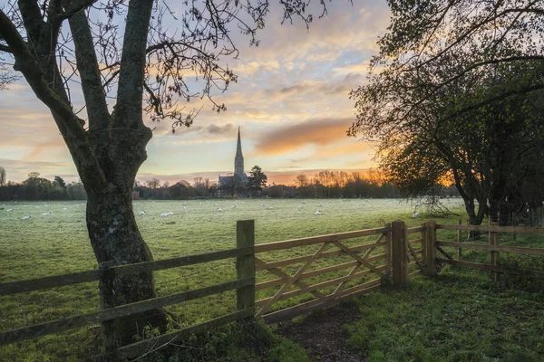 Inverno gelido paesaggio alba Salisbury città cattedrale in Engl — Foto Stock