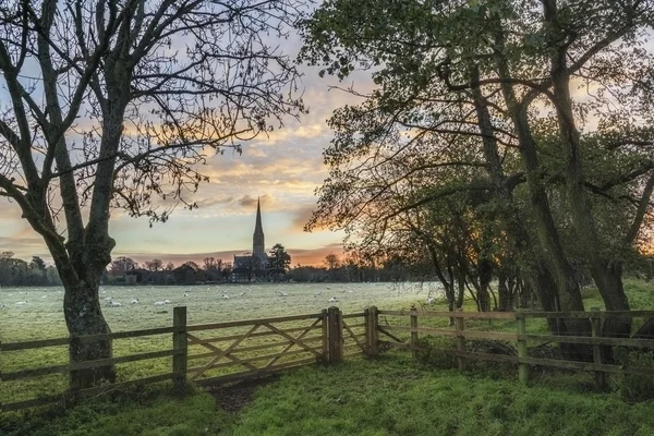 Hiver givré lever de soleil paysage Salisbury cathédrale ville en Engl — Photo