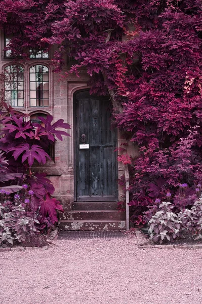 Alte Holztür des Steinhauses mit abwechselnd surreal gefärbten la — Stockfoto