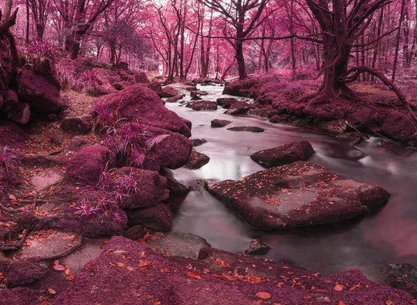 Beautiful landscape of surreal alternate colored landscape throu — Stock Photo, Image