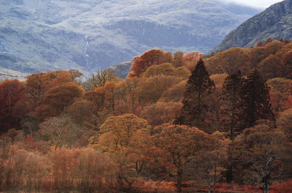 Splendido paesaggio autunnale dei colori autunnali del Lake District in Cumbria — Foto Stock