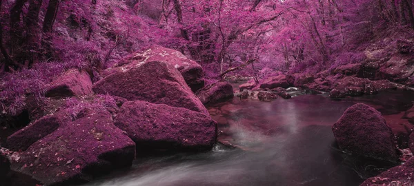 Gerçeküstü diğer renkli manzara throu güzel manzara — Stok fotoğraf