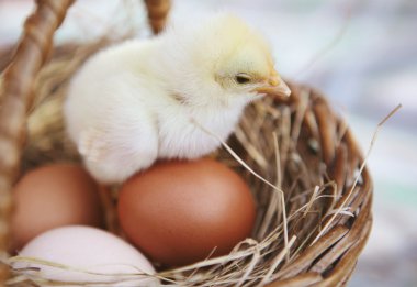 ????????? ???????? ? ?????? ? ???????? ???????