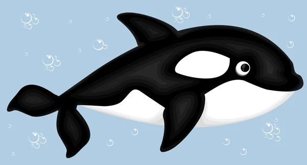 Cartoon Killer whale — Stockvector