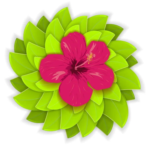 Flor tropical — Archivo Imágenes Vectoriales