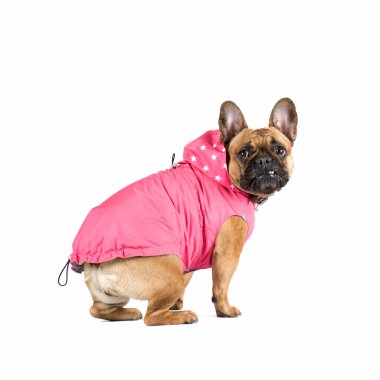 Fransız buldozer portre