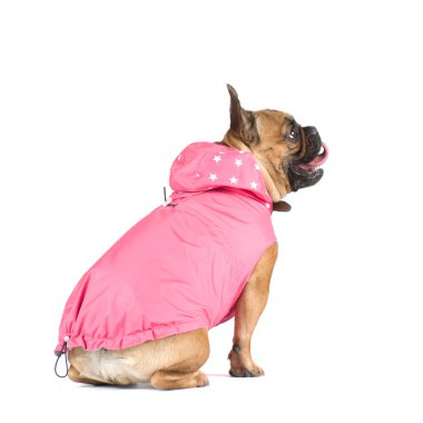 Fransız buldozer portre