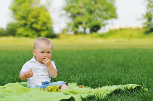 Kleiner Junge isst Weintrauben — Stockfoto