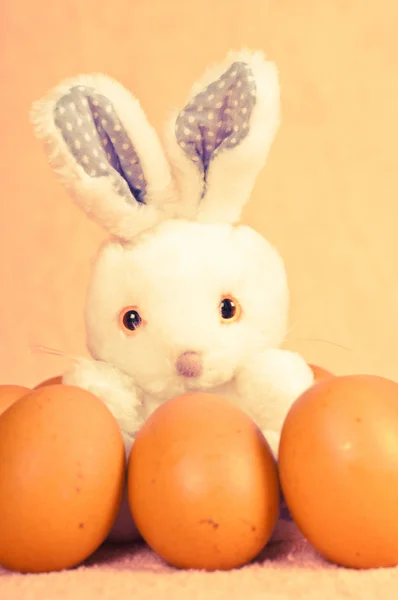 Coelho de brinquedo branco com ovos — Fotografia de Stock
