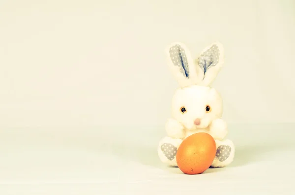 Conejo blanco sobre fondo blanco — Foto de Stock