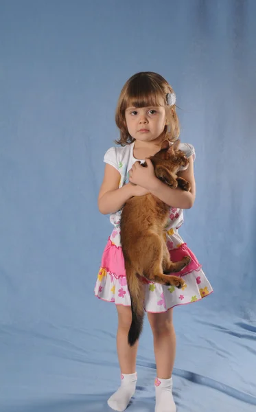 Lovely girl with kitten in hands portrait — Stock Photo, Image