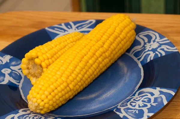 Corn on plate — Stock Photo, Image