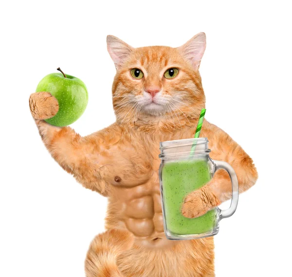 Gato segurando smoothie em uma caneca frasco velho isolado em branco . — Fotografia de Stock