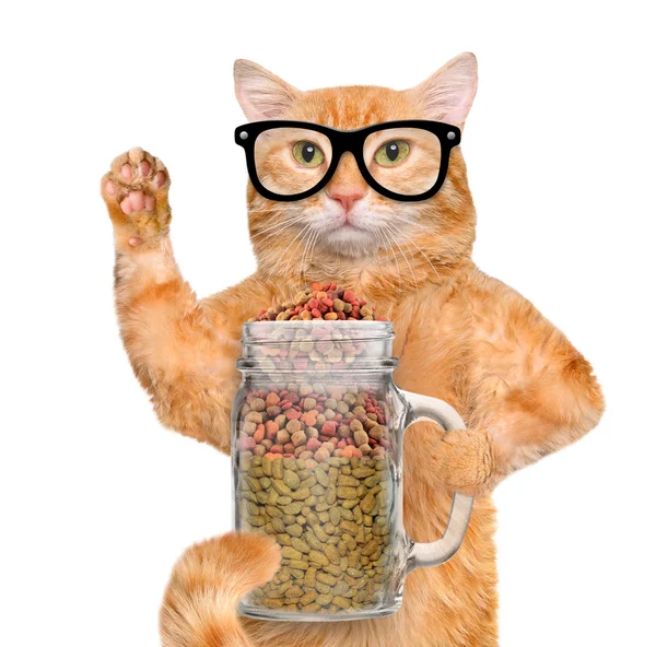 Kočka drží suché jídlo ve staré sklenice hrnek izolovaných na bílém. — Stock fotografie