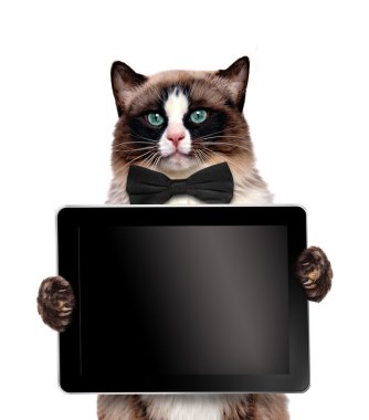 Fashionable cat holding a blank tablet. clipart
