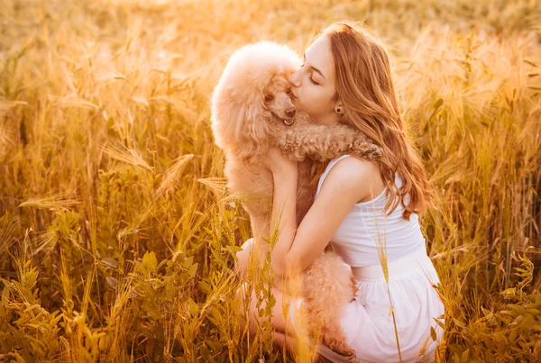 Menina bonita com seu cão no campo à luz do sol . — Fotografia de Stock