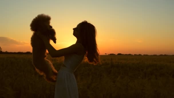 Hermosa chica con su perro en el campo en la luz del sol . — Vídeo de stock