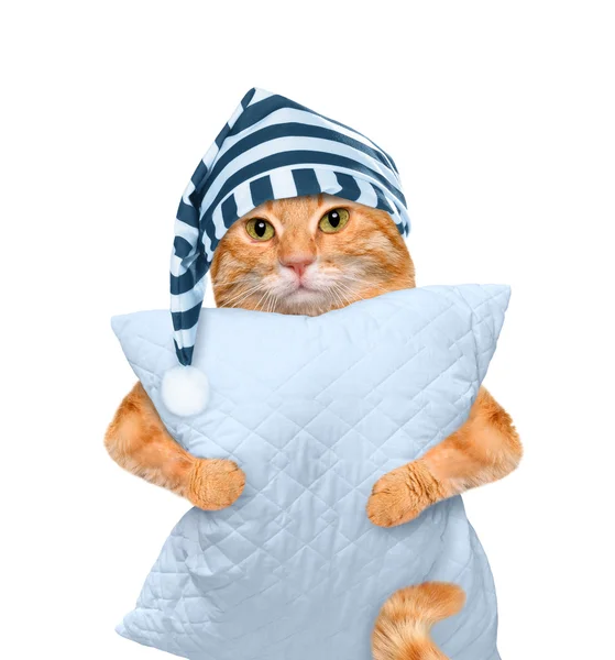 Gato sonolento em um gorro com um travesseiro. Isolado em branco . — Fotografia de Stock