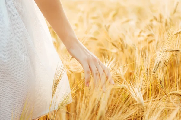 Ung flicka gå genom fältet och berör vete. — Stockfoto