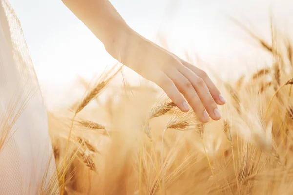 Mladá dívka chůze přes pole a doteky pšenice. — Stock fotografie