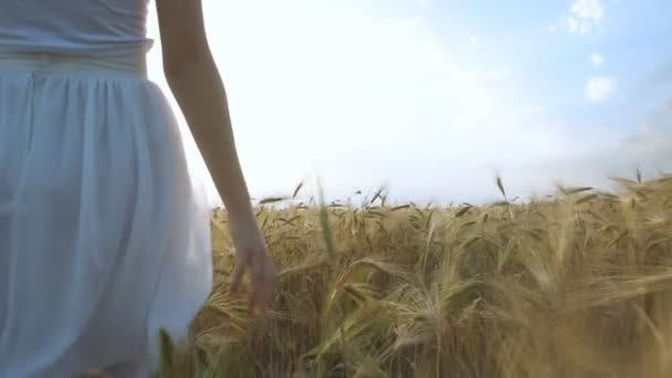 Mladá dívka chůze přes pole a doteky pšenice. — Stock video