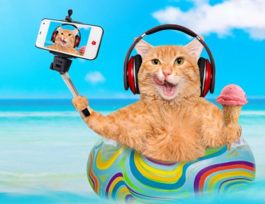 Kedi kulaklık rahatlatıcı bir akıllı telefon ile birlikte bir selfie alarak denizde şişme.