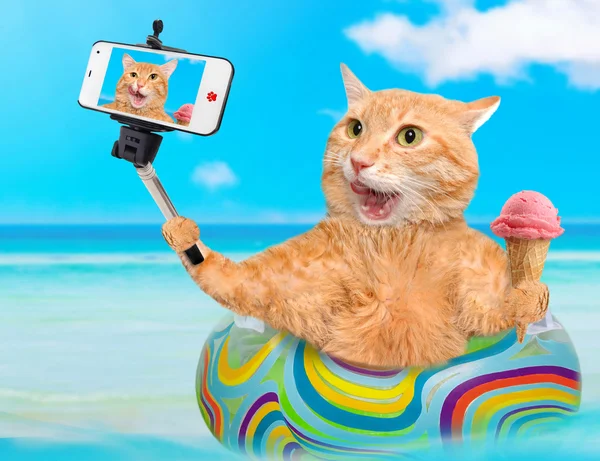 Kat ontspannen op het luchtbed in de zee nemen een selfie met een smartphone. — Stockfoto