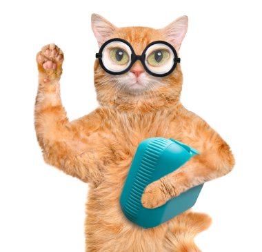 Beslenme çantası ile kedi. Beyaz izole.