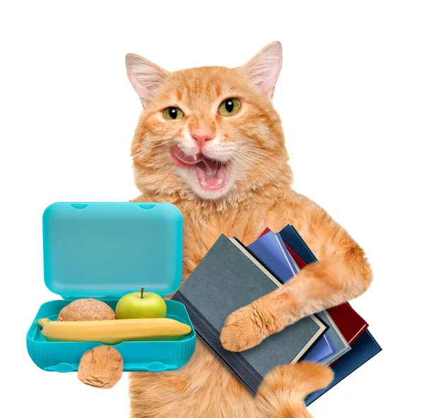 Cat with books and school lunch box. Isolated on white. — Stock Photo, Image