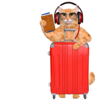 Bir bavul ve belge kedi kulaklık. 