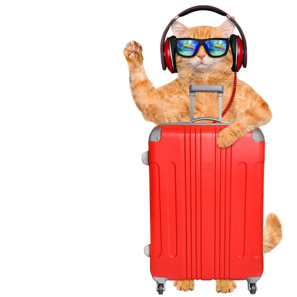 Kot słuchawki z walizką. — Zdjęcie stockowe