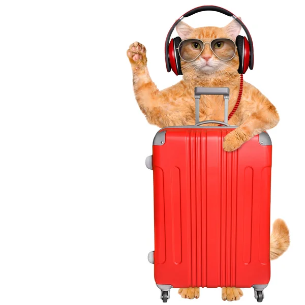 Cat headphones with a suitcase . — Stock Photo, Image