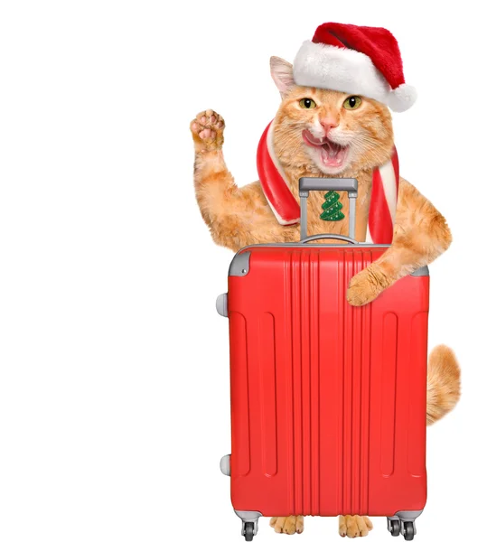 Kat in rode kerstmuts met een koffer. — Stockfoto