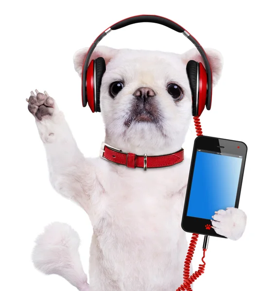 Dog headphones. Isolate on the white background. — Stock Photo, Image